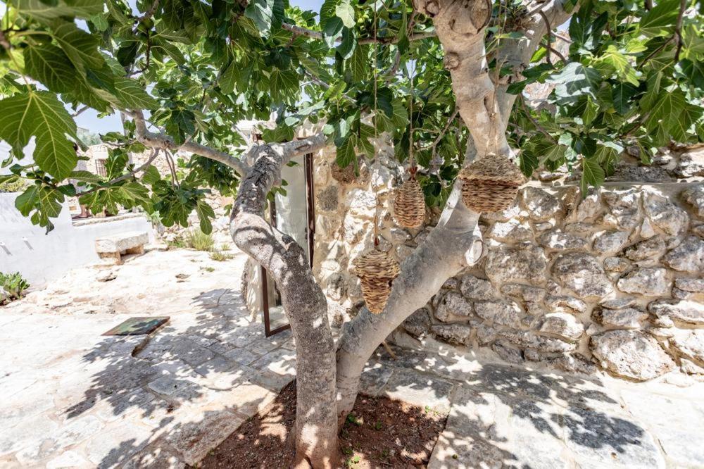 Trullo Santovia Bed & Breakfast Sant Isidoro  Luaran gambar